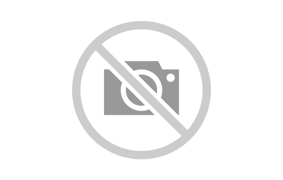 Wood-burning stoves